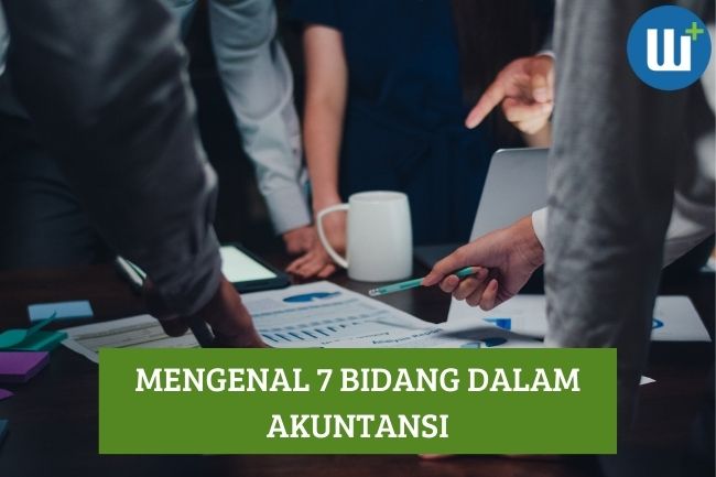 Mengenal 7 Bidang dalam Akuntansi, Simak!